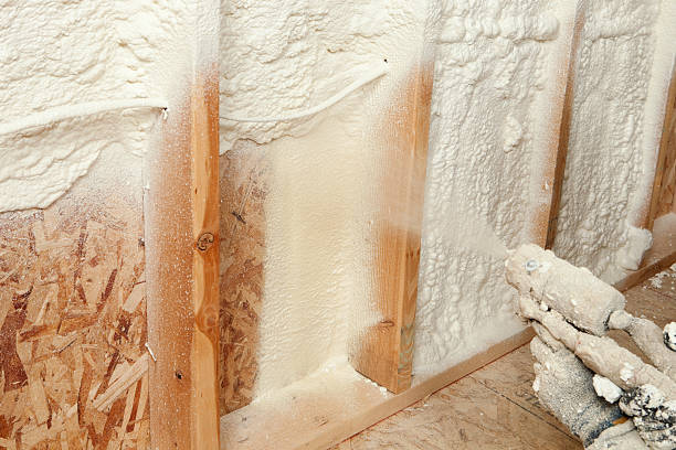 Trusted Rome City, IN Insulation Services Experts